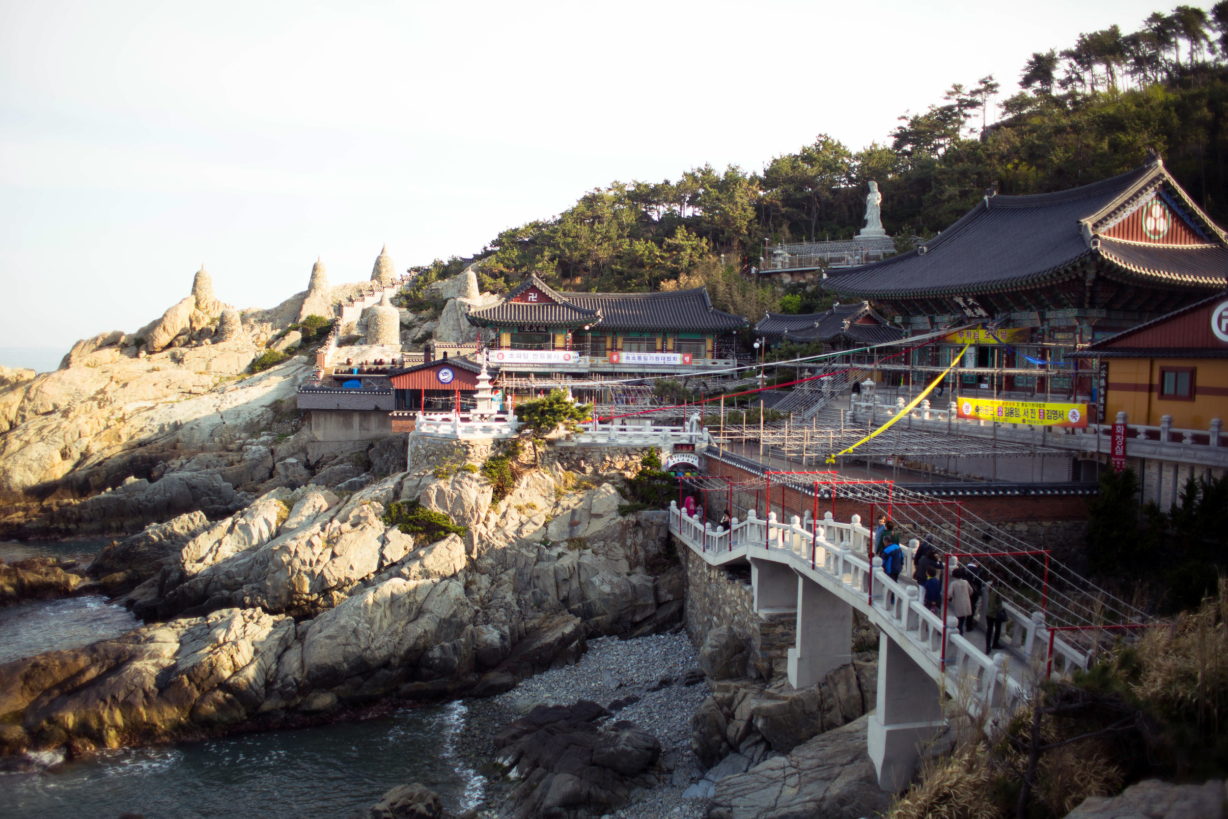 BH5A0112korea.jpg