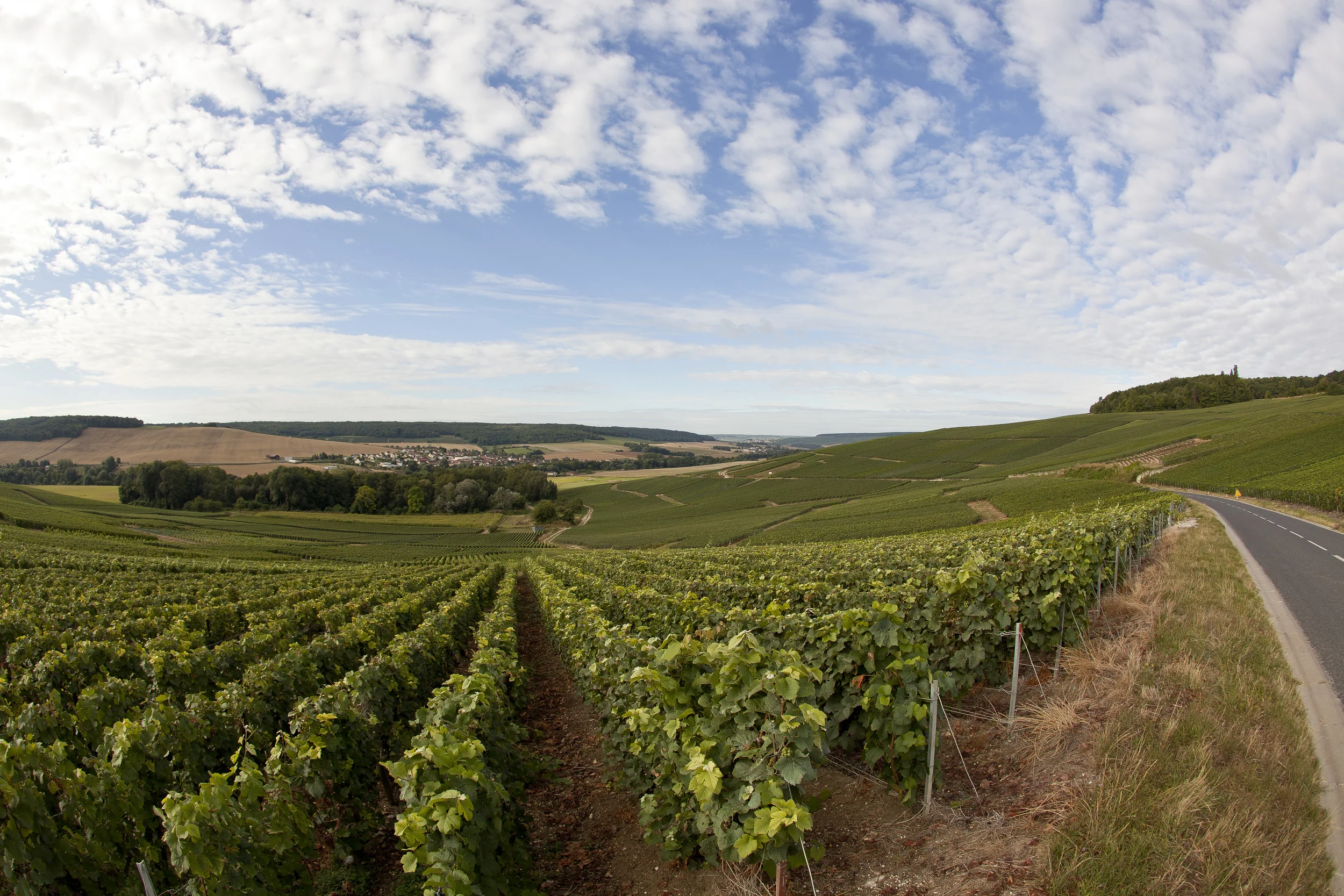 franceIMG_4308.jpg