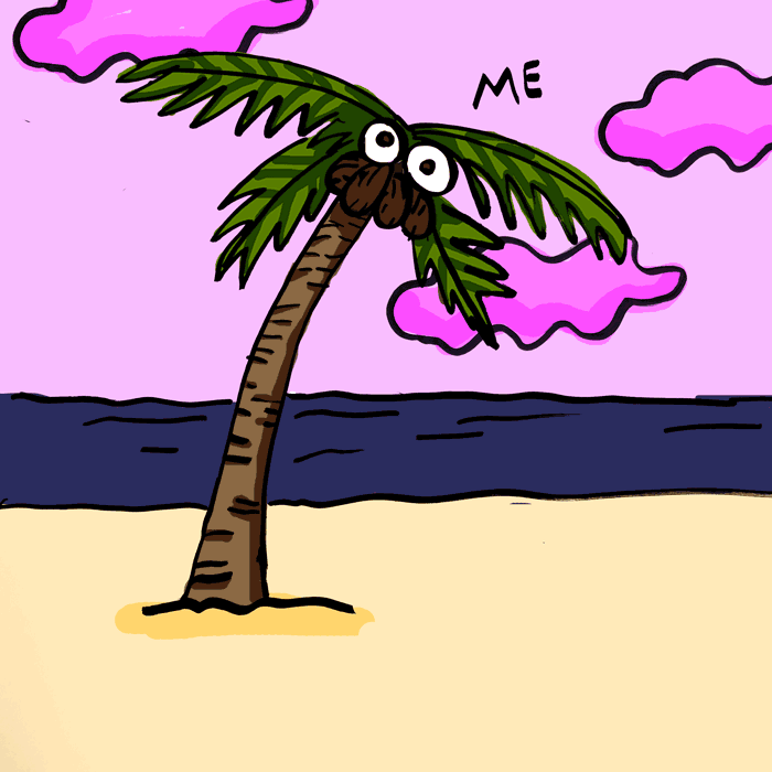 palm.gif