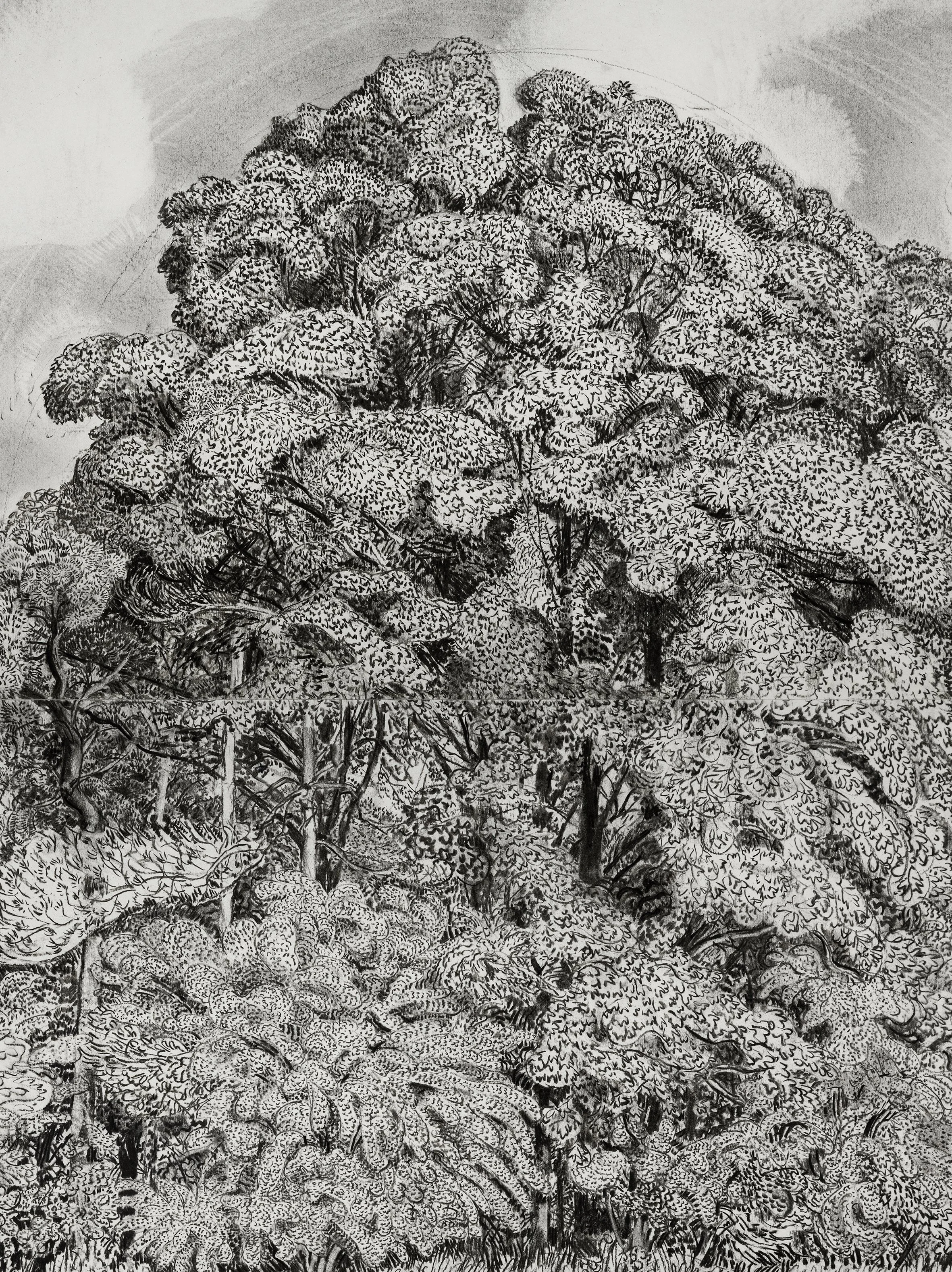 exhibition image  floating crop.jpg