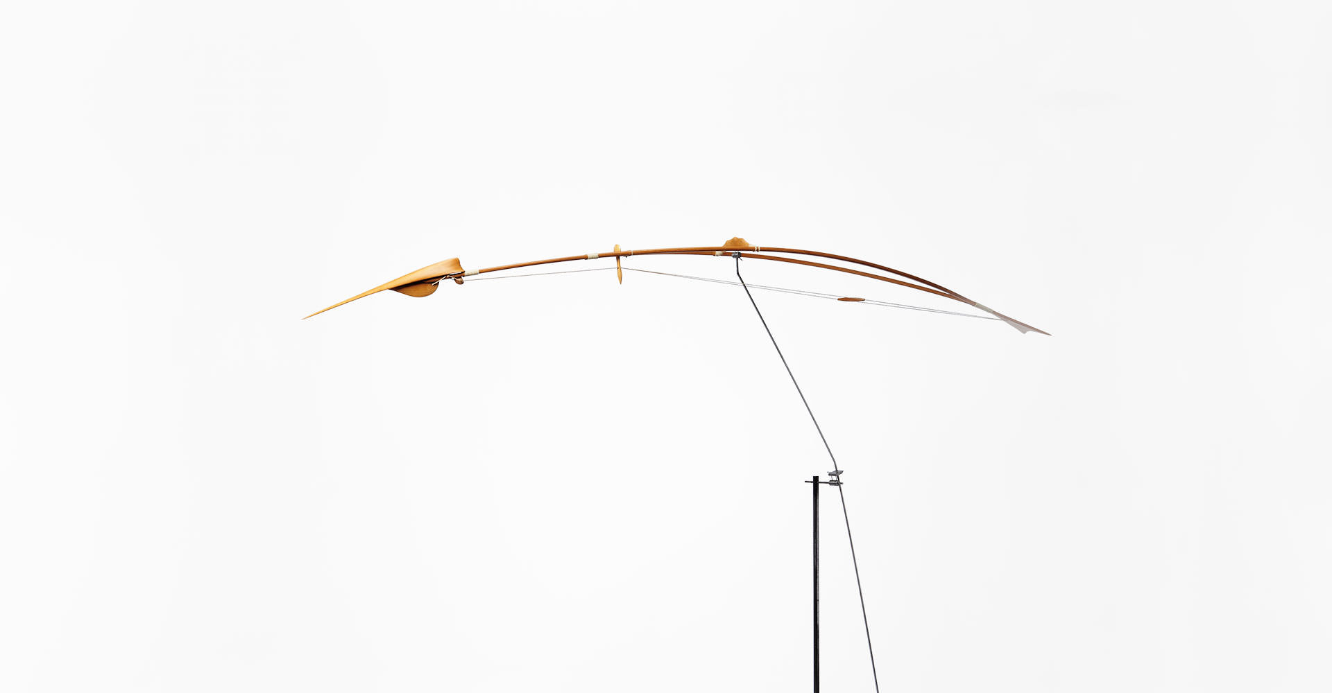 Antoni Yranzo artista