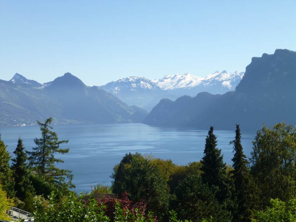 Grundstück mit See- und Bergsicht in Luzern erfolgreich verkauft