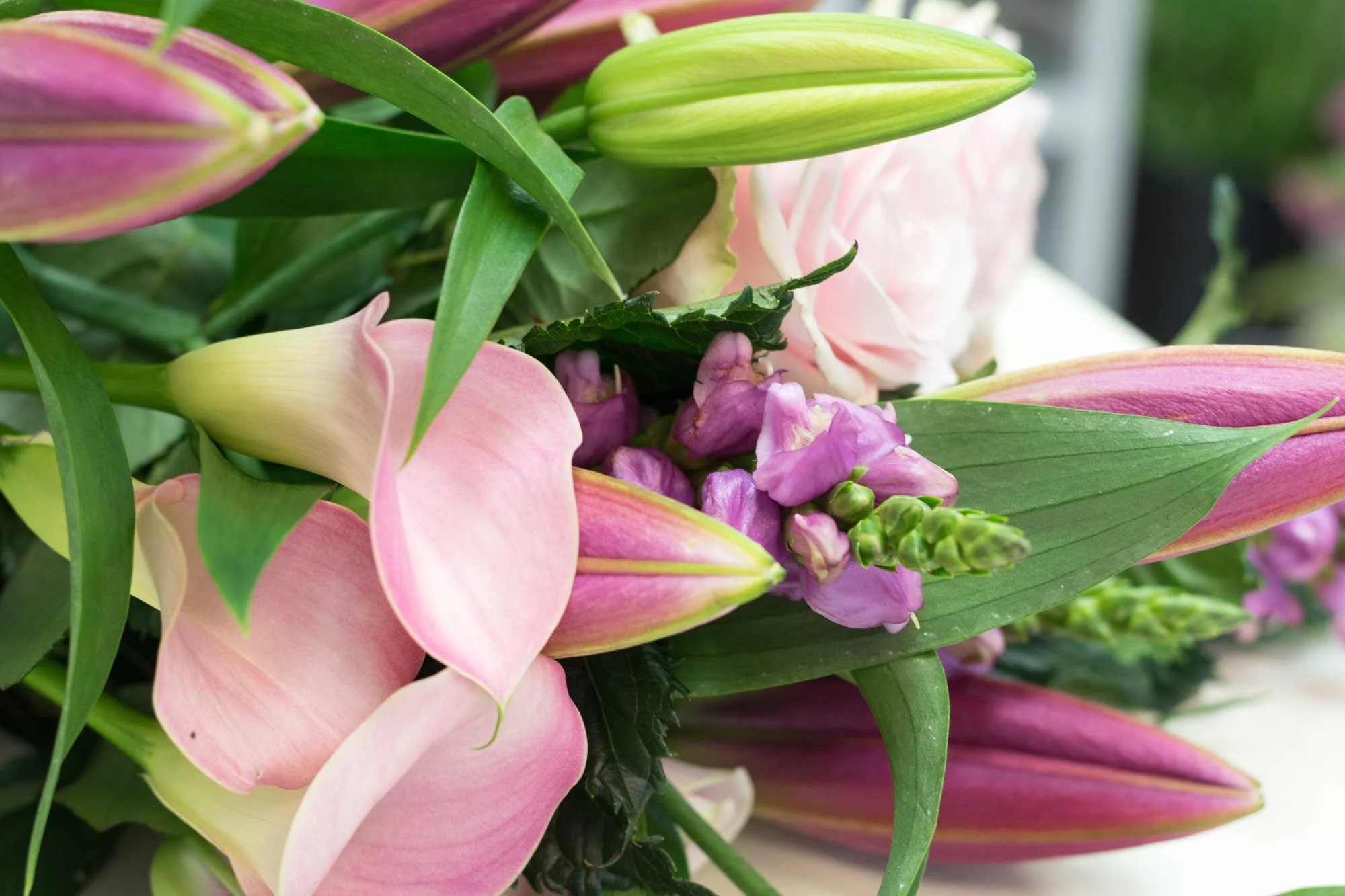 ScentaPosyflorist_Welcome.jpg