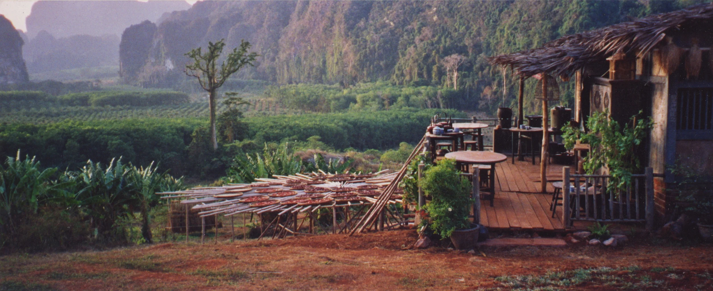 web set thailand 2.jpeg