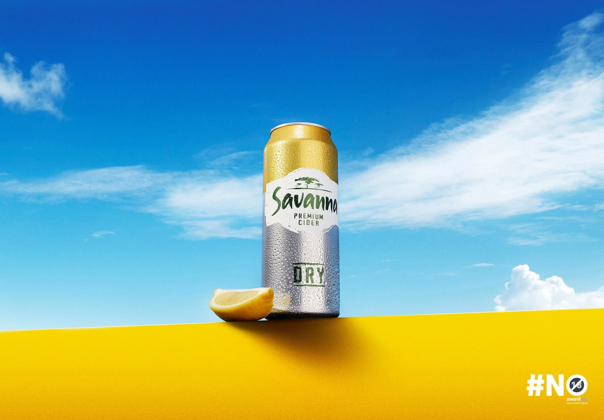 WE OUTSIDE THIS SUMMER WITH THE SAVANNA 500ML CAN-2.jpg