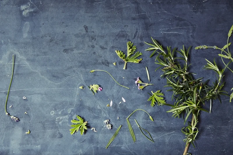 photograph Emma Lee