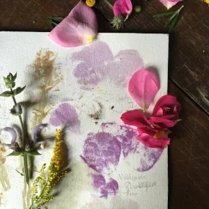 making plant pigments from our own flowers, leaves and twigs