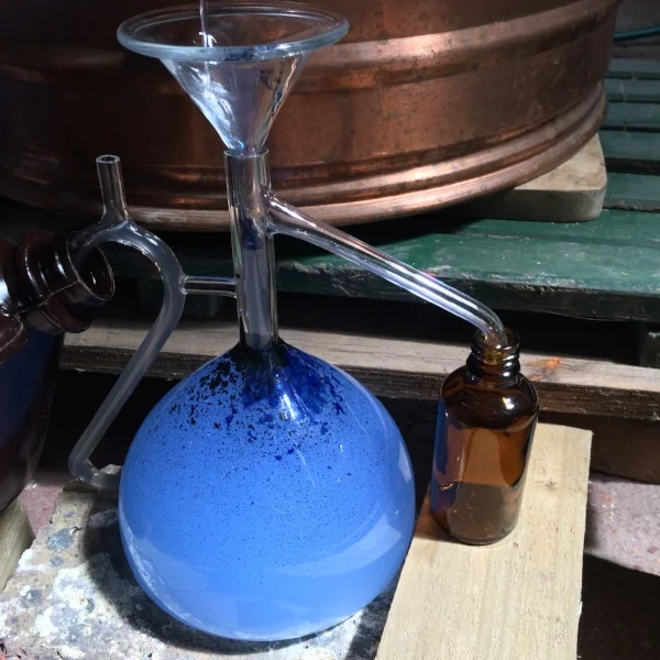 Chamomile hydrosol - from a white flower to a blue hydrosol and essential oil - plant alchemy