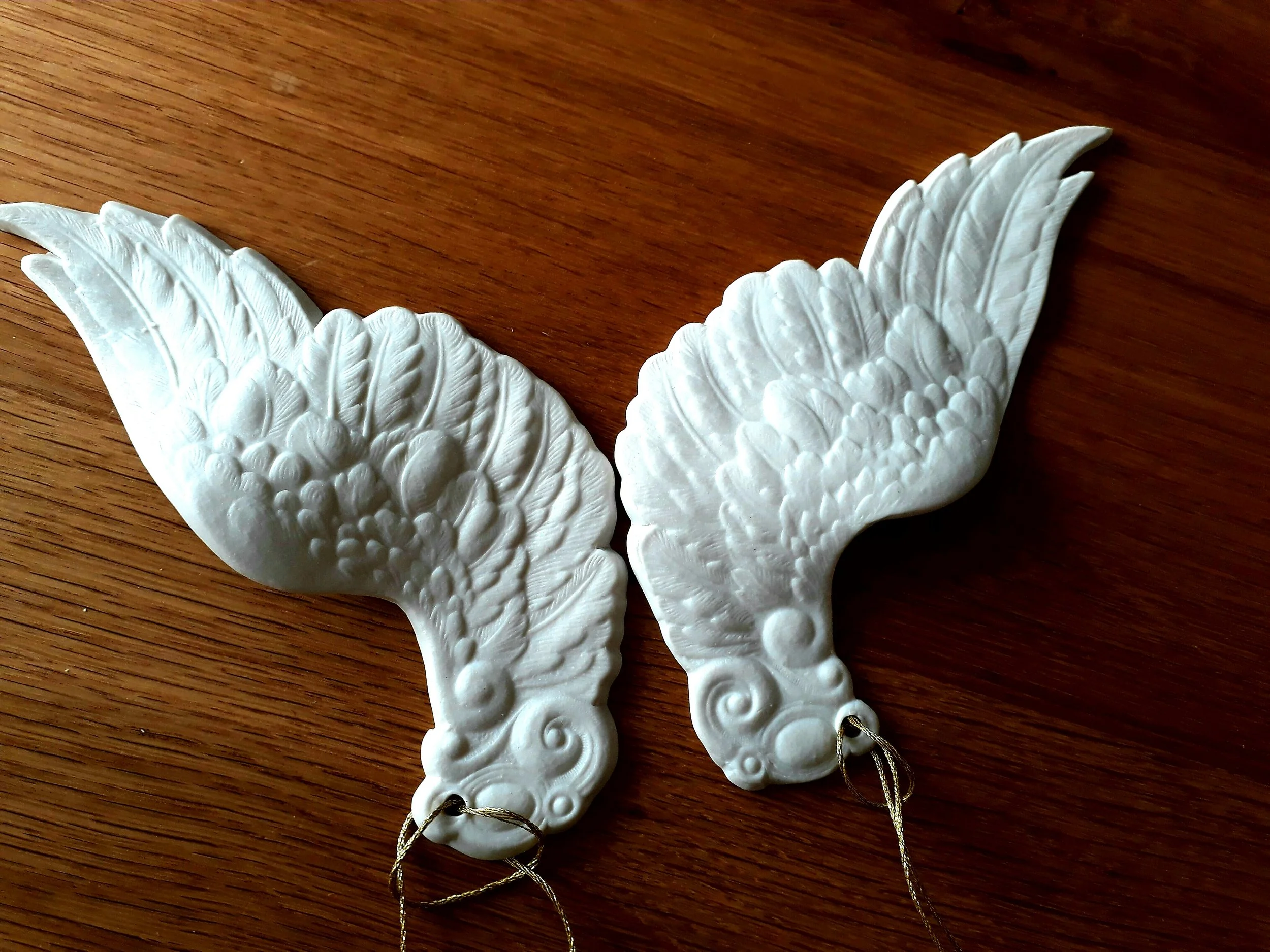 wings colour.jpg