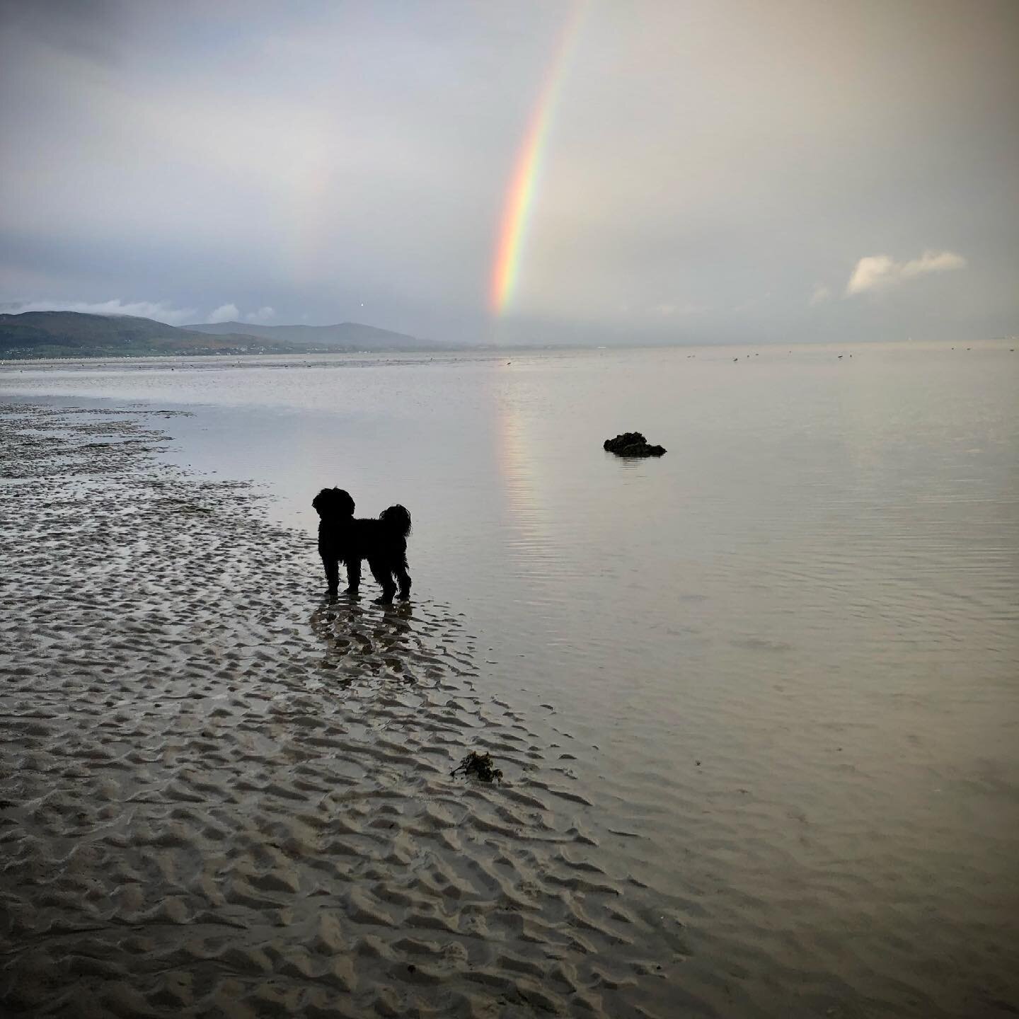 Evening on the beach 🌈🥰#idvocals #joniBitchell