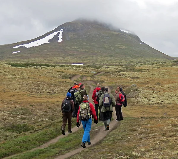 Ferdselen sentralt i Forollhogna-området er stor. Det viste de automatiske tellerne som i fjor sommer ble plassert på stien fra Såttåhaugen i Os (bildet) og fra stien i Synnerdalen. Foto: Arne Nyaas 