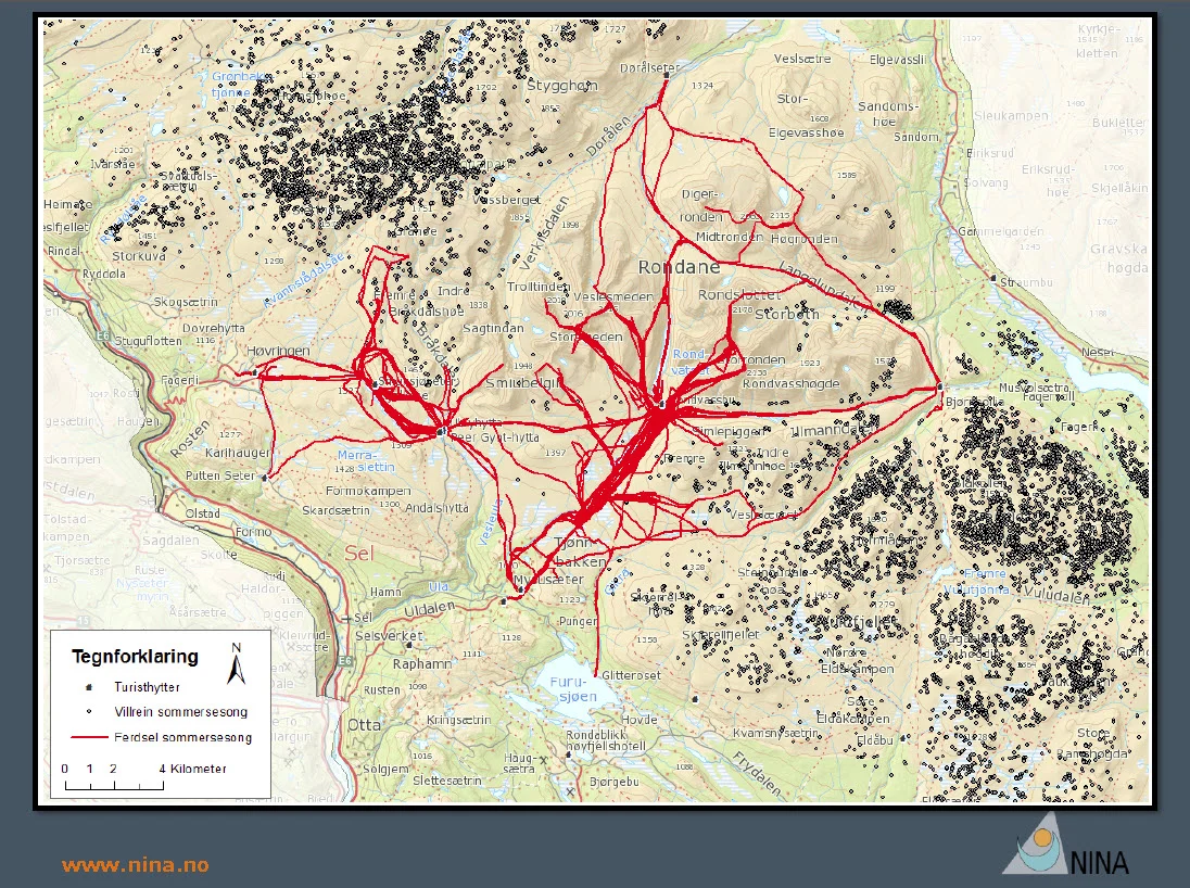 Kartplott som viser ferdselen på de mest benyttede turstiene i sommersesongen sentralt i Rondane (rød farge) og GPS-plottene av villrein (mørk farge). Villreinen holder seg på "betryggende" avstand.