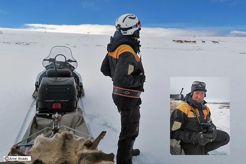 Den som ferdes i vårfjellet, må være forsiktig. Da vi fikk øye på bukkeflokken, ble det bråstopp. Ingebrigt Storli passer godt på.