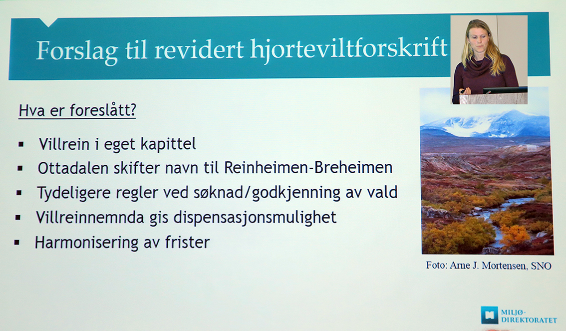 Kari Bjørneraas. Foto: A. Nyaas