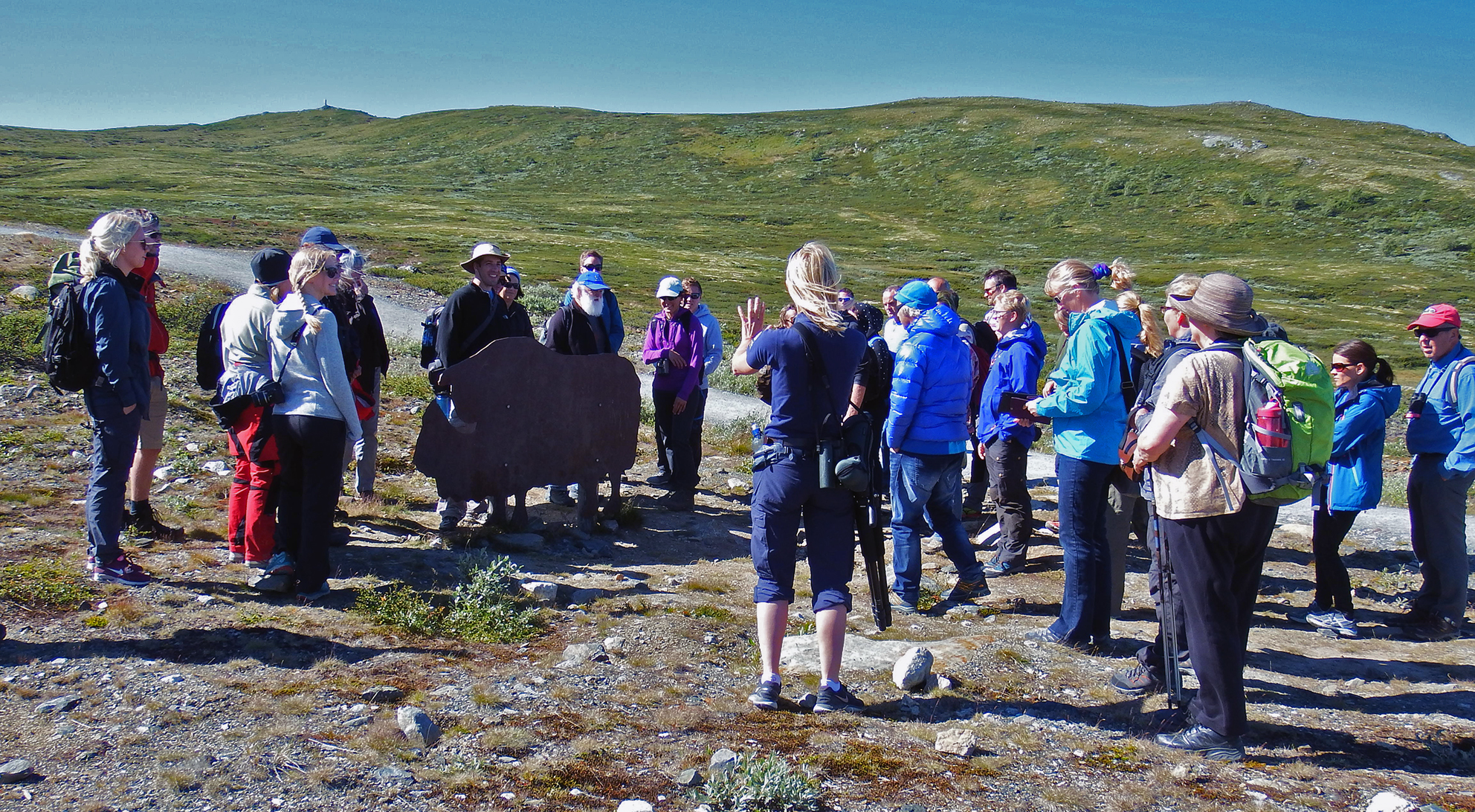 Naturveileder Heidi Ydse ved Norsk Villreinsenter Nord innleder entusiastisk ved starten av den historiske vandreturen opp til viewpoint Snøhetta på Tverrfjellet. Foto: Tor Punsvik