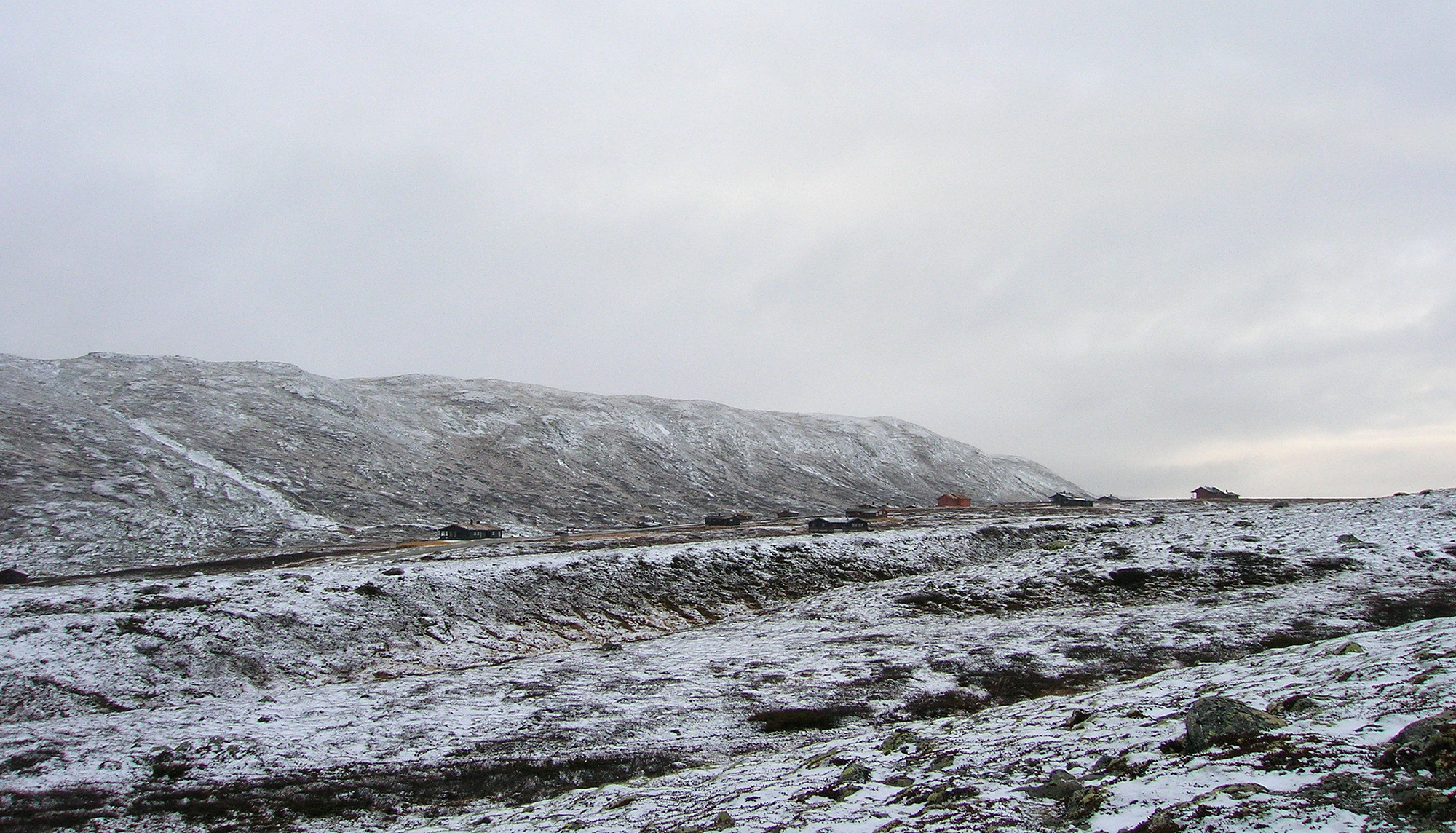 Lufsjåtangen har kvaliteter villreinen trenger vinterstid. Relativt lite snø, og mye lav. Foto: Anders Mossing