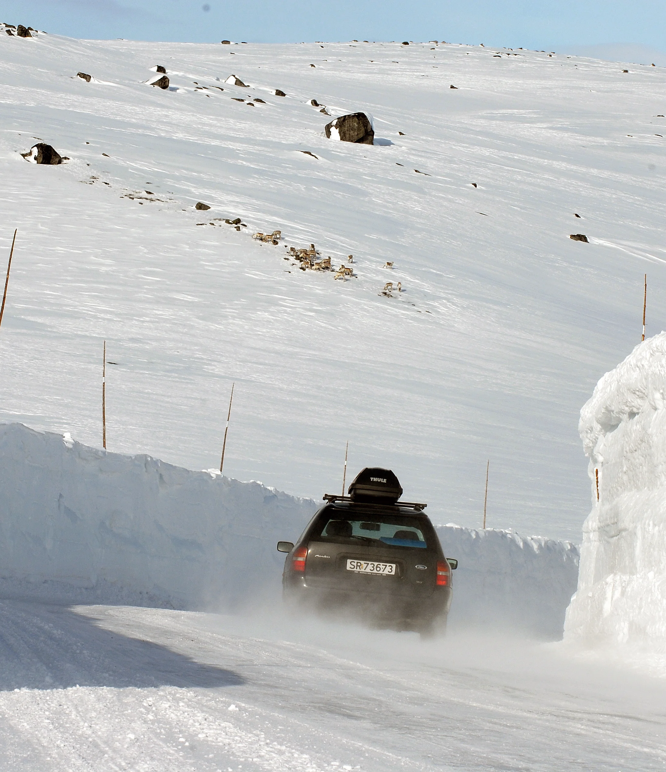 Foto: Olav Strand/Norsk institutt for naturforskning