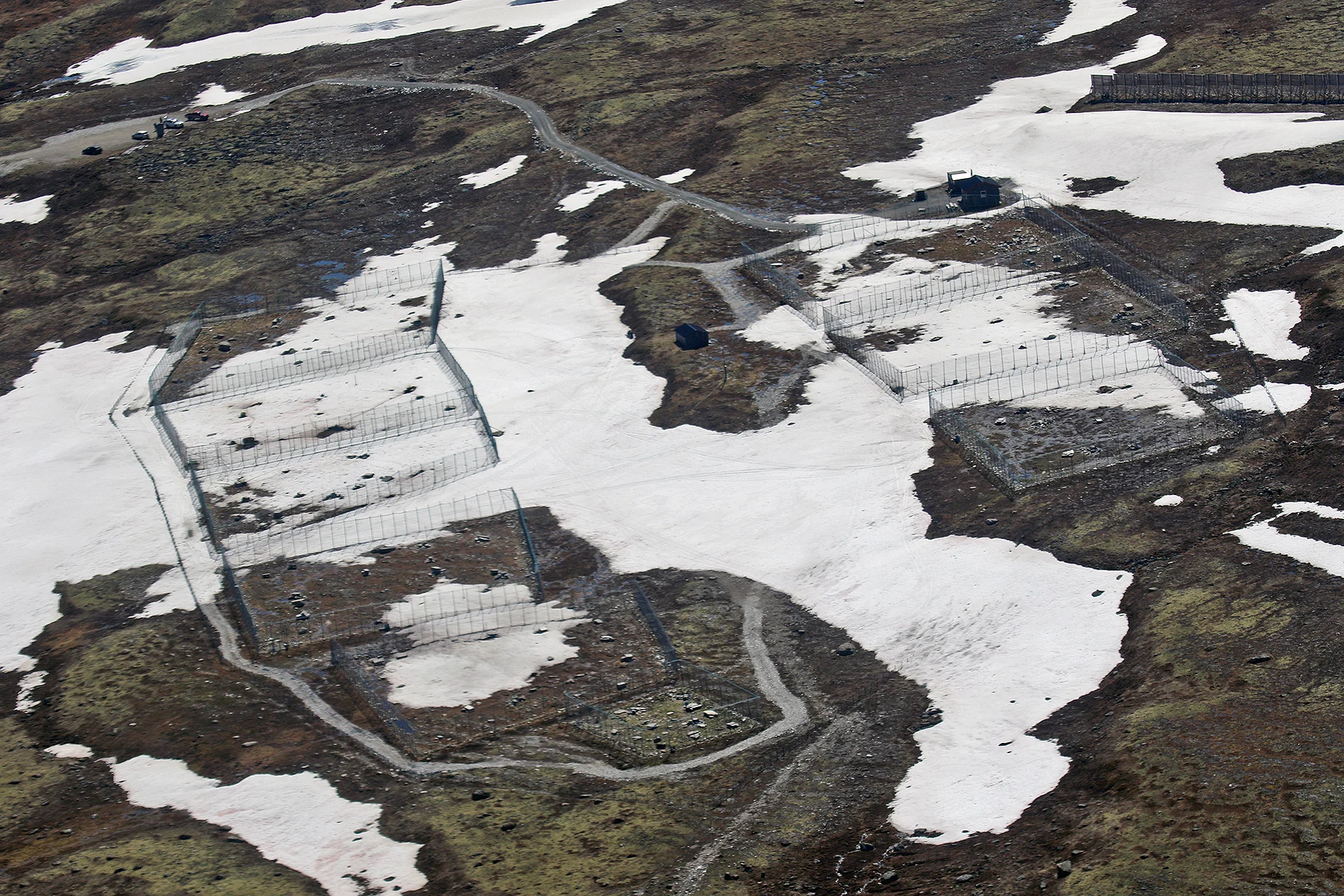Oppdal 27. juni 2015: Avlsstasjonen for fjellrev på Sæterfjellet. Foto: A. Nyaas