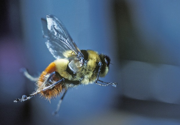 Foto: Arne Claus Nilssen