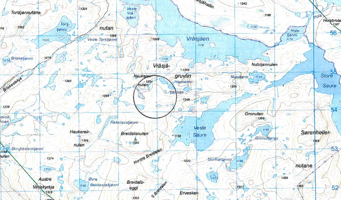 Det var i dette området dei 323 dyra blei funne, drepne av lynet.