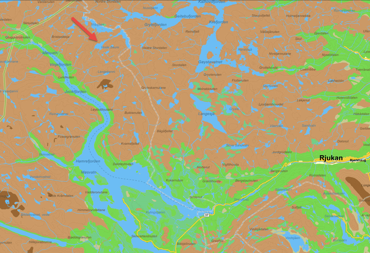 Dette kartutsnittet viser stedet for lynnedslaget på Hardangervidda (rød pil); nord for vannet Vesle Saure i Vinje kommune. Kartutsnitt: Gule sider