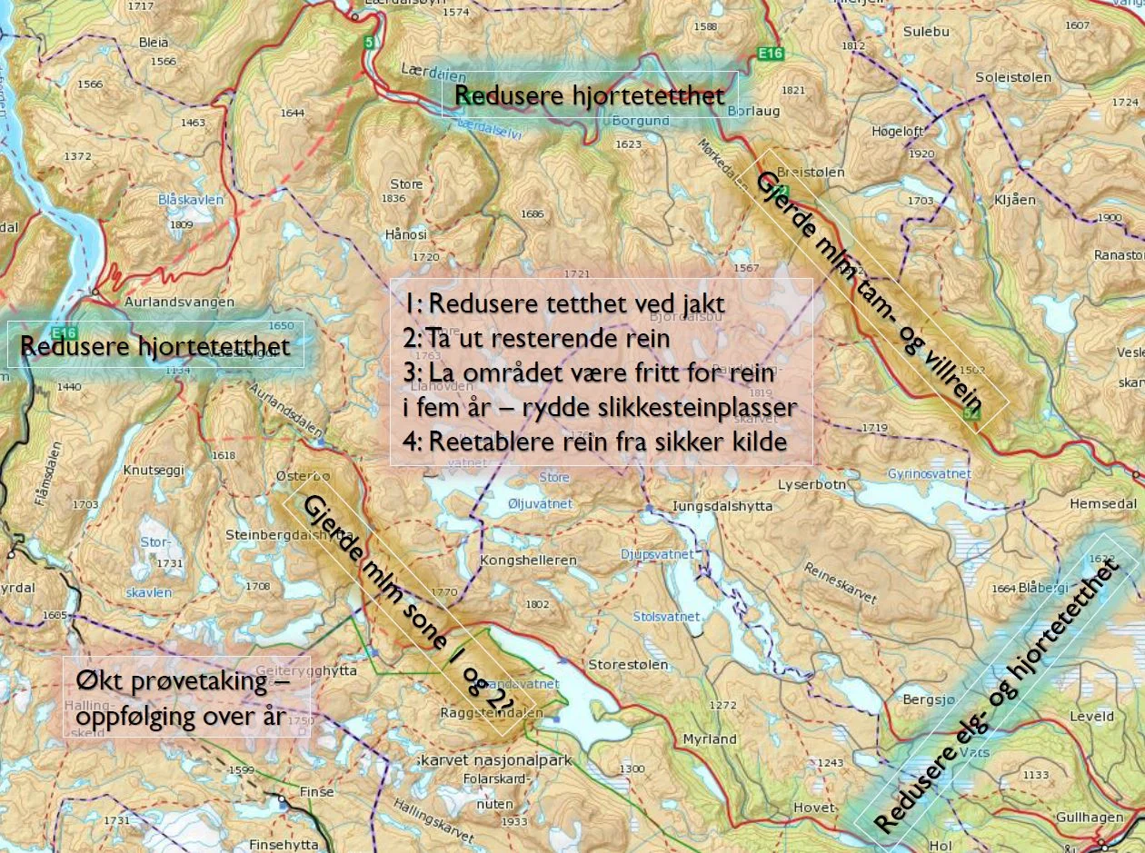 Anbefalte tiltak. Klikk for stort bilde. Figur: Bjørnar Ytrehus/NINA.