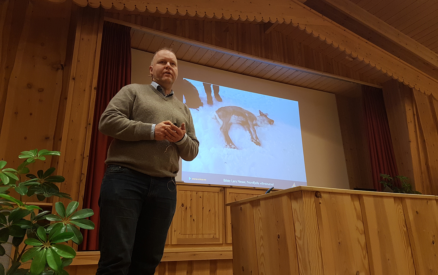 Bjørnar Ytrehus (NINA) kom med klare tilrådninger til en vanskelig situasjon. Foto: Anders Mossing/Norsk Villreinsenter.