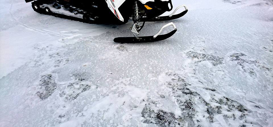 Bildet viser en lavrabb, kraftig nediset. Foto: Rein-Arne Golf.