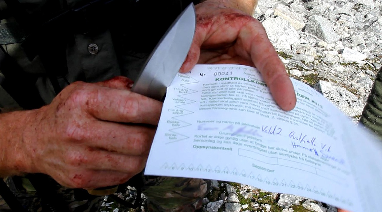 Miljødirektoratet ynskjer å oppheve § 30 om kontrollkort i forskrift om forvaltning av hjortevilt. Illustrasjonsfoto: Anders Mossing