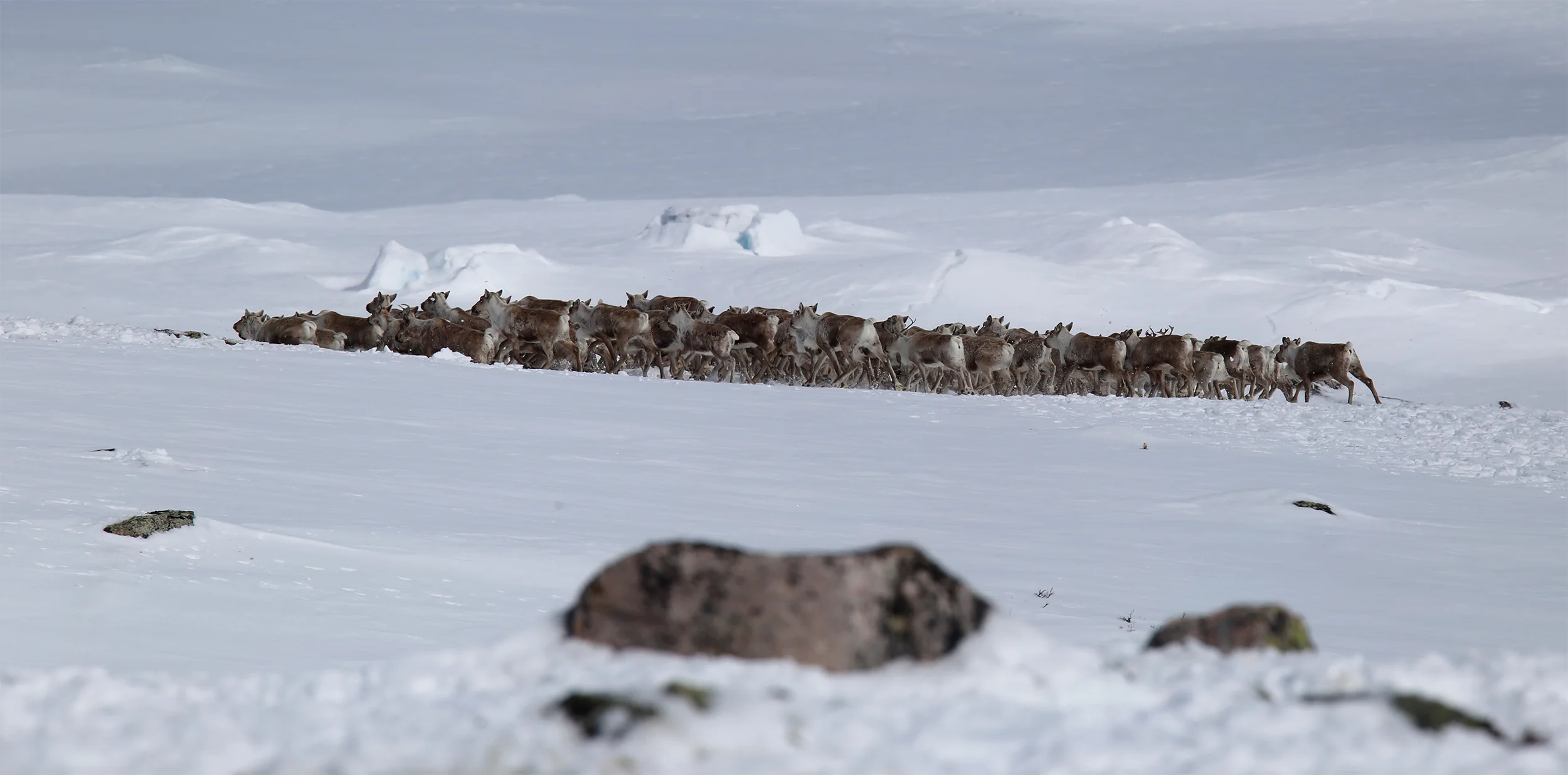 Foto: Anders Mossing
