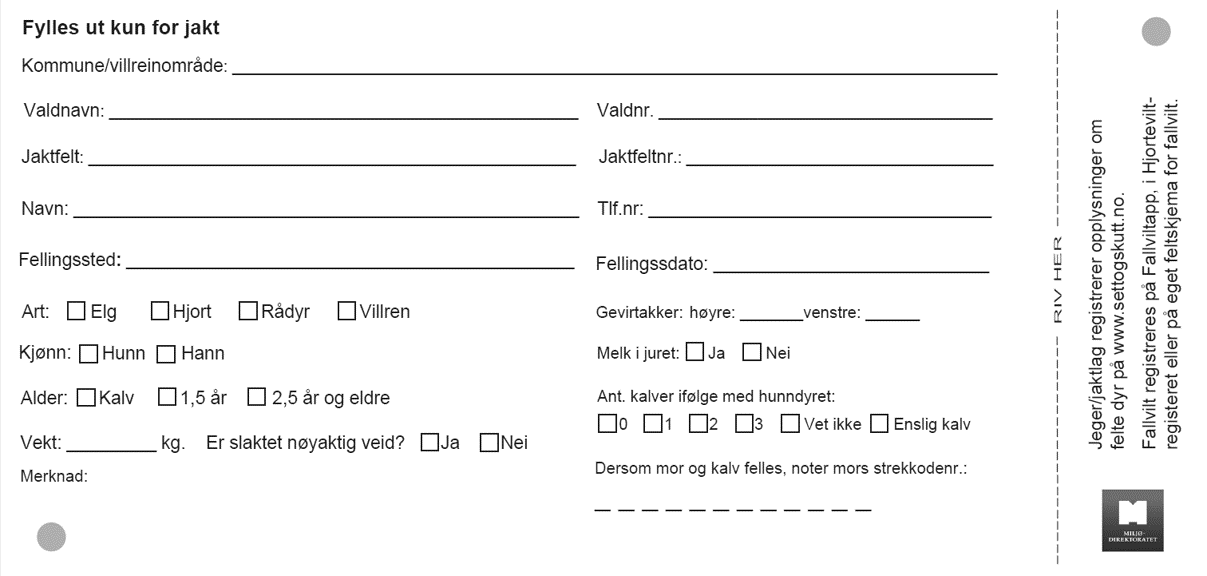 Bakside. Klikke for større bilde.
