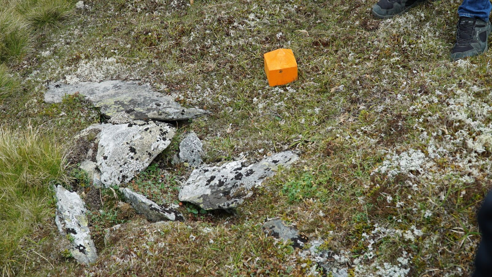 Stolpehull etter ledegjerder. Her markert med en oransje pyramide.