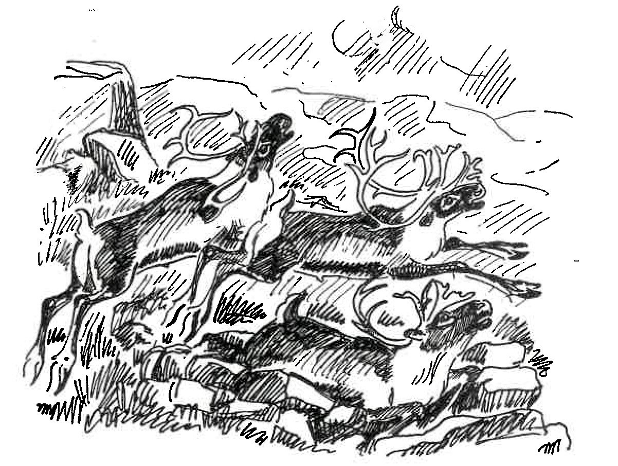 Illustrasjon henta frå boka "Den dragende flok" med tekst og teikningar av Jens Rosing