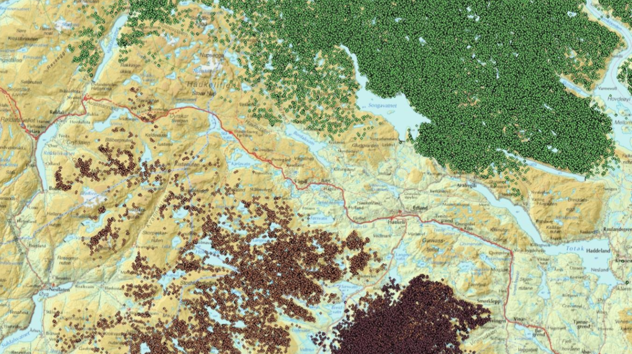 GPS-posisjoner på Hardangervidda og i Setesdalsheiene. Figur hentet fra NINA Rapport 1121 «Veger og villrein».