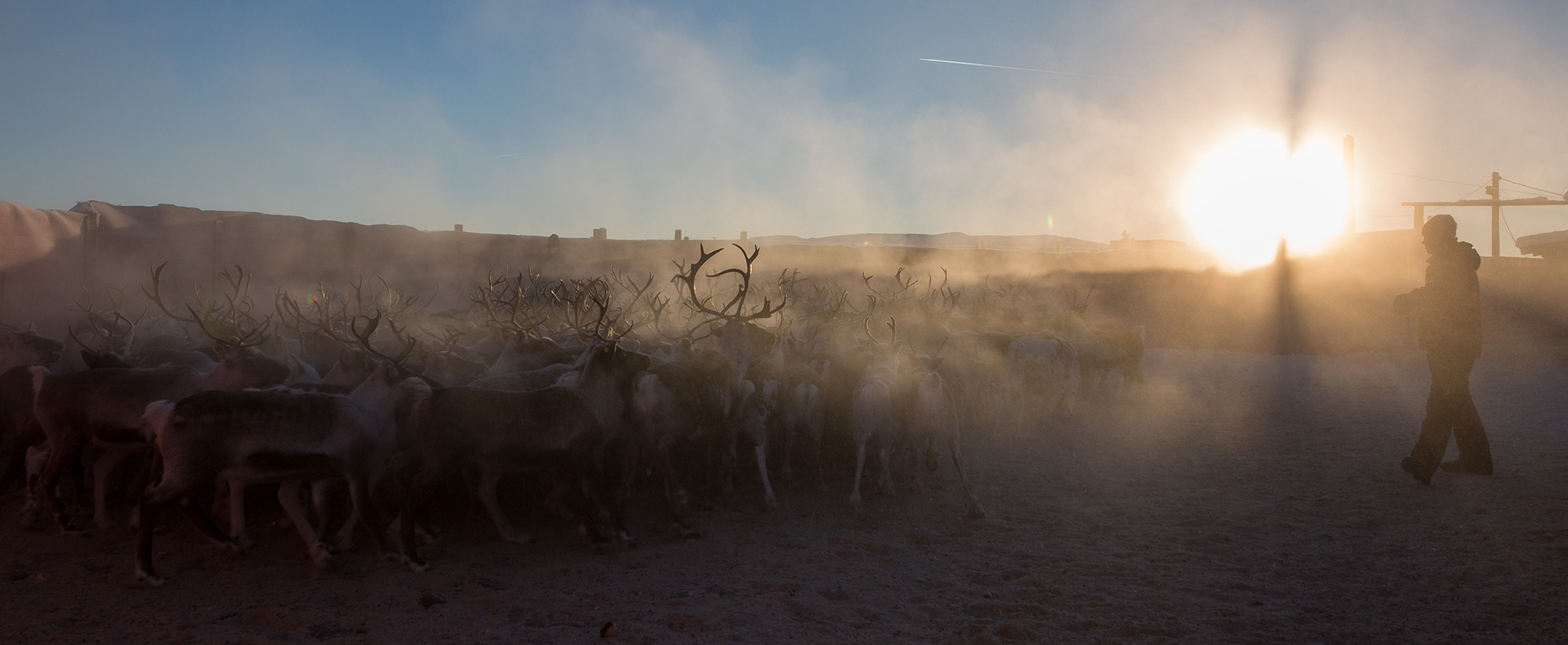 Mange stadar blir reinsdyra halde permanent innafor gjerde eller innhegningar heile året. Dette kan væra sjukdomsframkallande. Illustrasjonsfoto: Kjell Bitustøyl