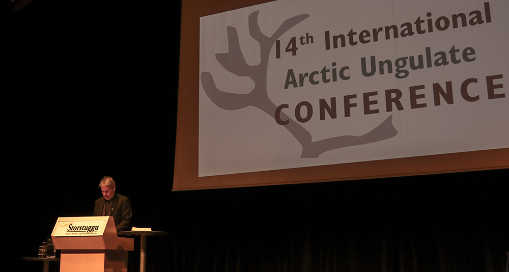 Frå 2015 då Arctic Ungulate Conference blei arrangert på Røros, på talarstolen Vemund Jaren frå Miljødirektoratet som saman med NINA var vertskap for AUC dette året. Foto: Kjell Bitustøyl