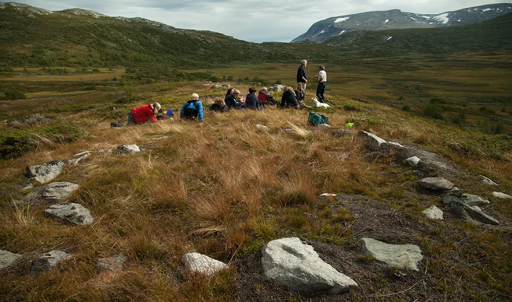 Sannsynleg samisk tuft i Byrkjedalen nord for Hallingskarvet i Hallingdal. Kan samar ha vore med som ekspertar i samband med massefangstanlegg for rein? Foto: Kjell Bitustøyl