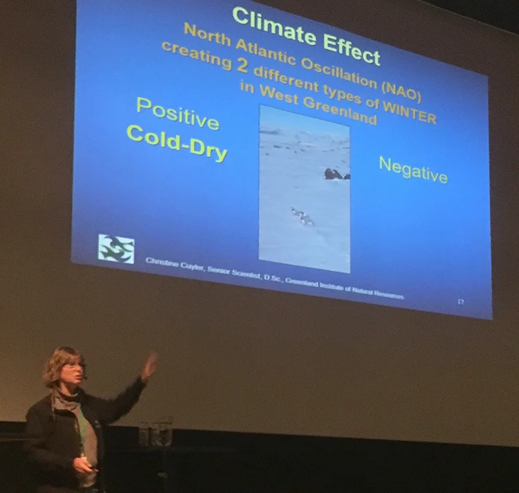 Klima var eit heitt tema på Arctic Ungulate Conference. Foto: Kjell Bitustøyl