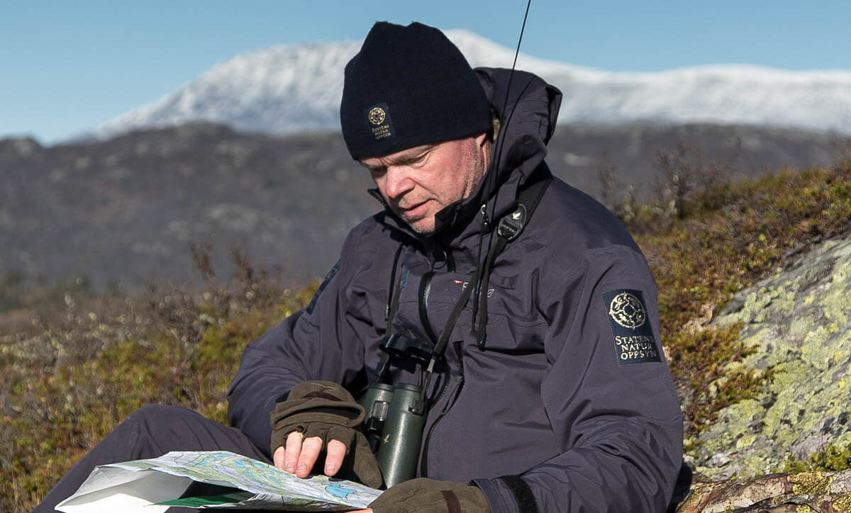 Morten Elgaaen på jaktoppsyn i Brattefjell-Vindeggen villreinområde, i bakgrunnen Gaustatoppen. Foto: Kjell Bitustøyl
