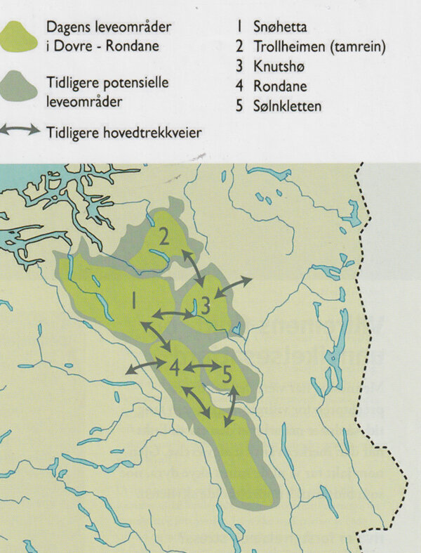 Leveområde og trekkvegar i Dovre- Rondane før og no. Kjelde: NINA (Trykk på biletet for større versjon av kart)