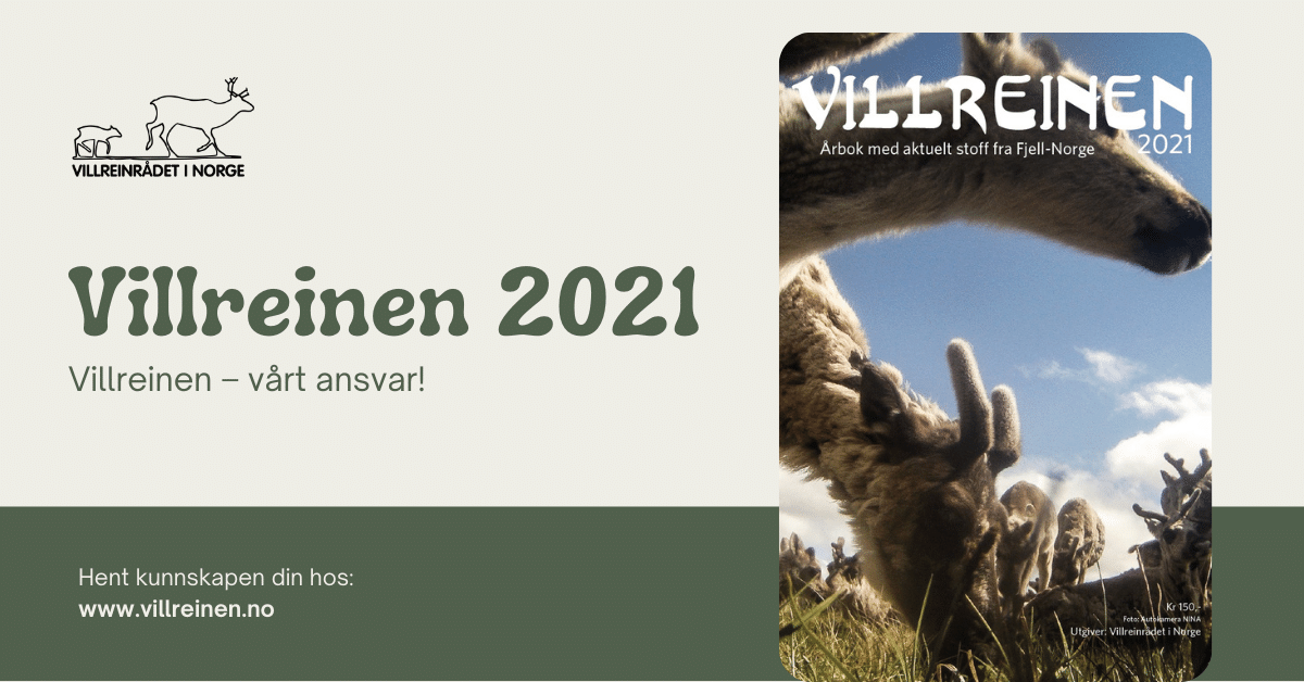 Villreinen_2021_annonse.png