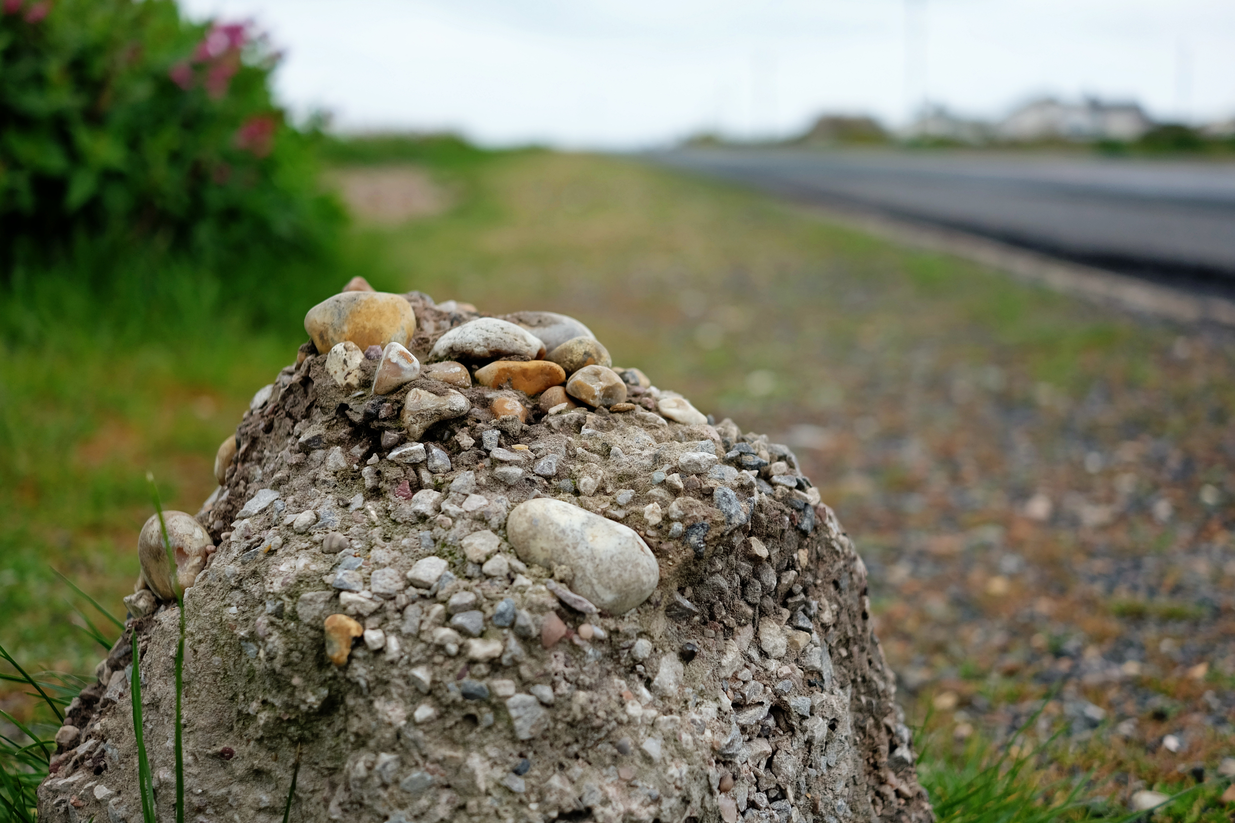 dungeness_dscf2363.jpg