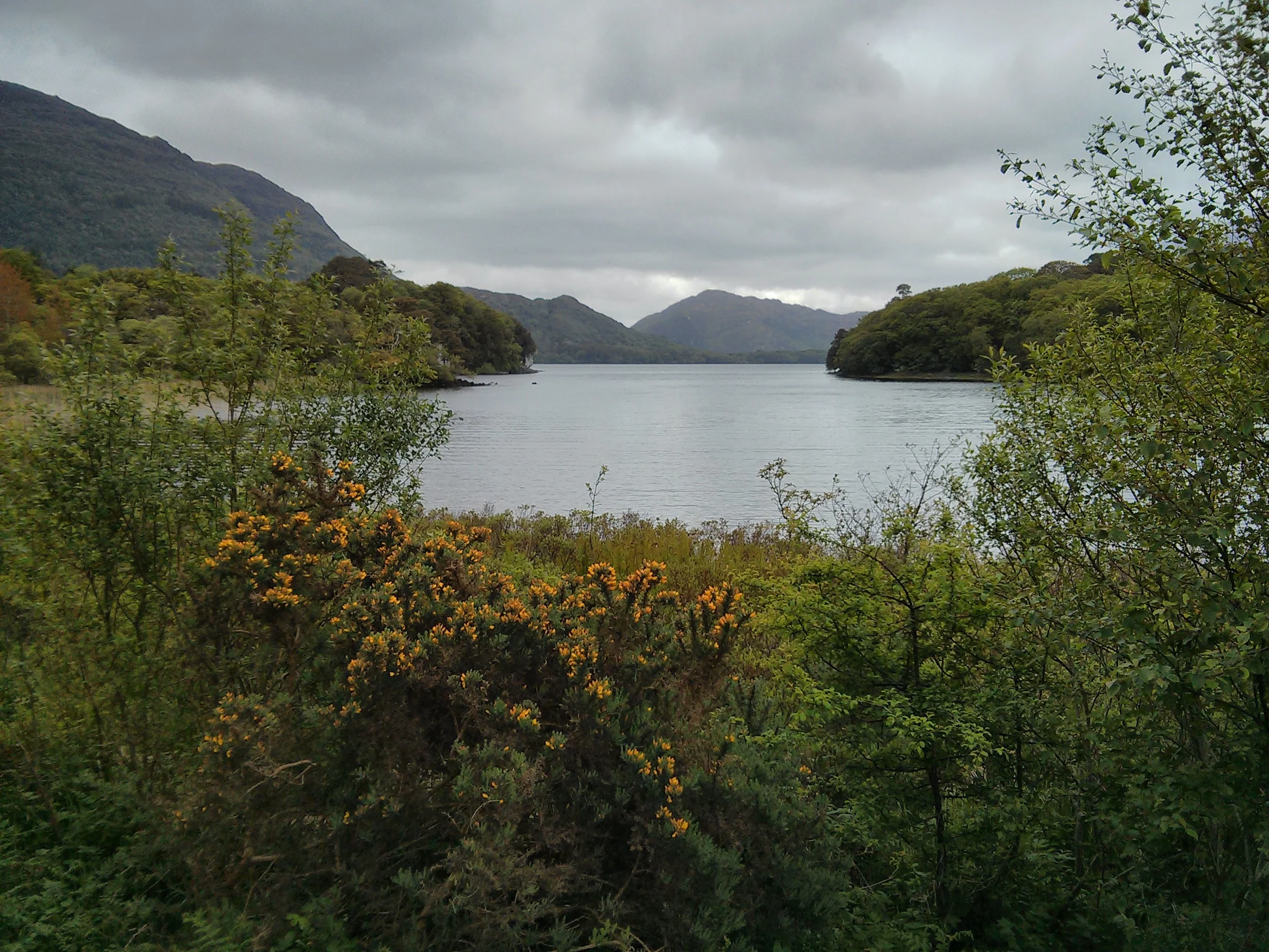 Lakes of Killarney, 2013