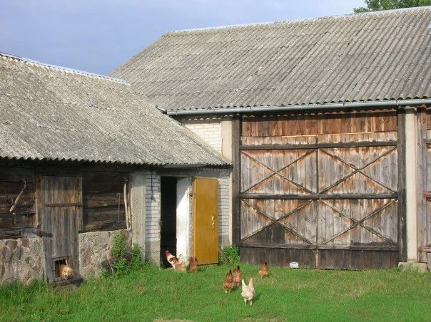Kobylino-Pogorzalki, 2005