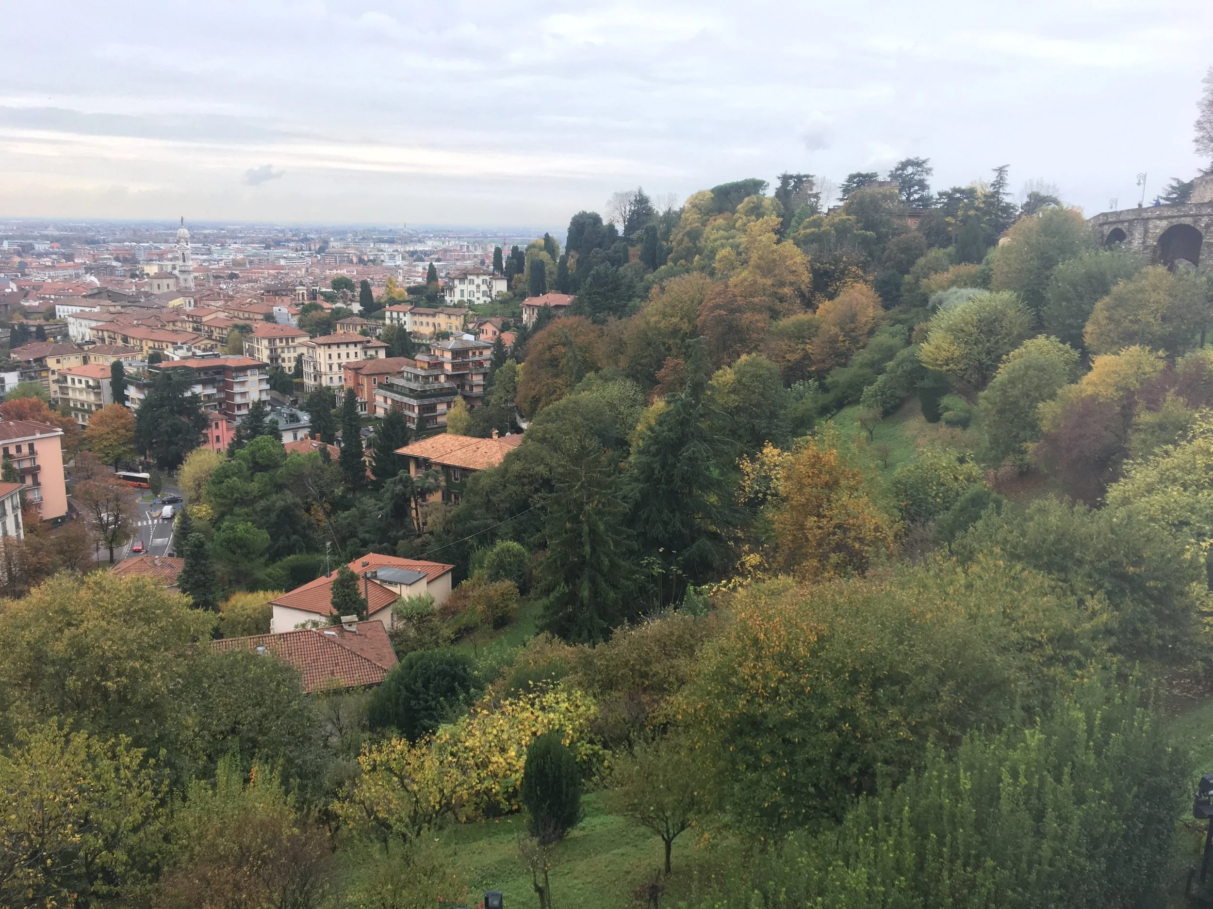 Griffin / Mr Martini / Ecima 