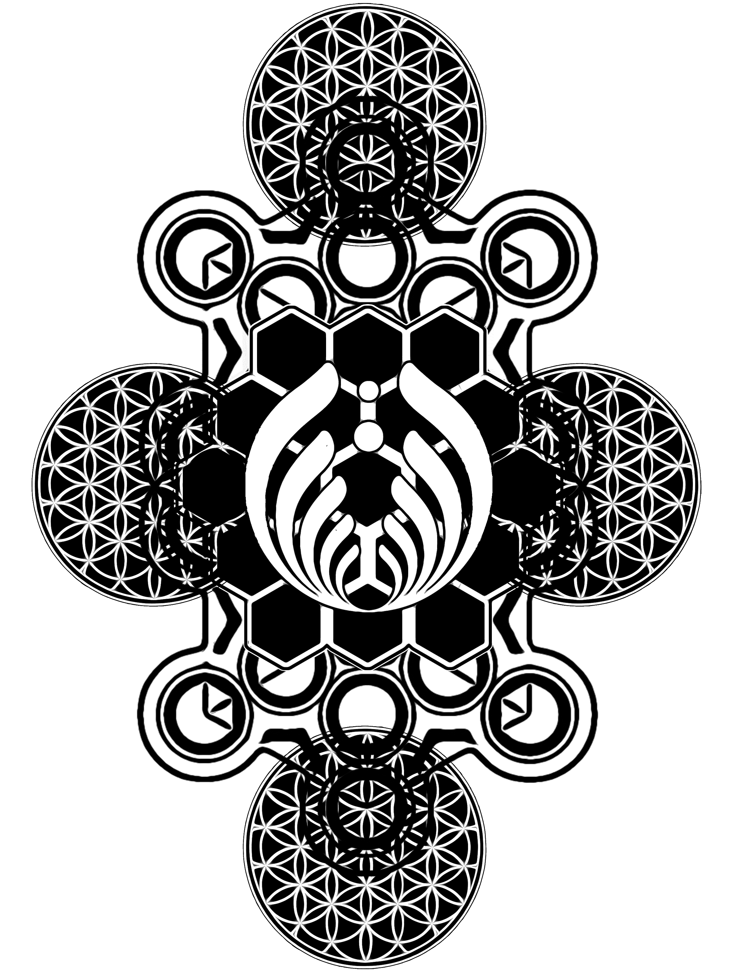 bassgrid.png