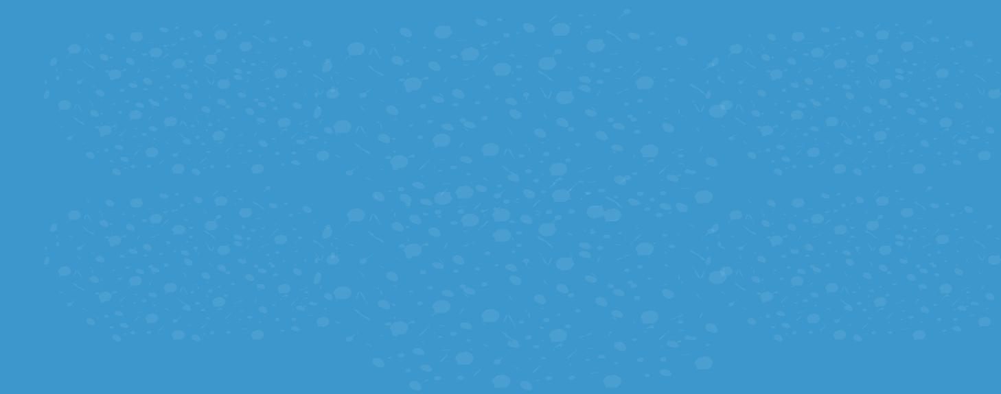 Header_2.png