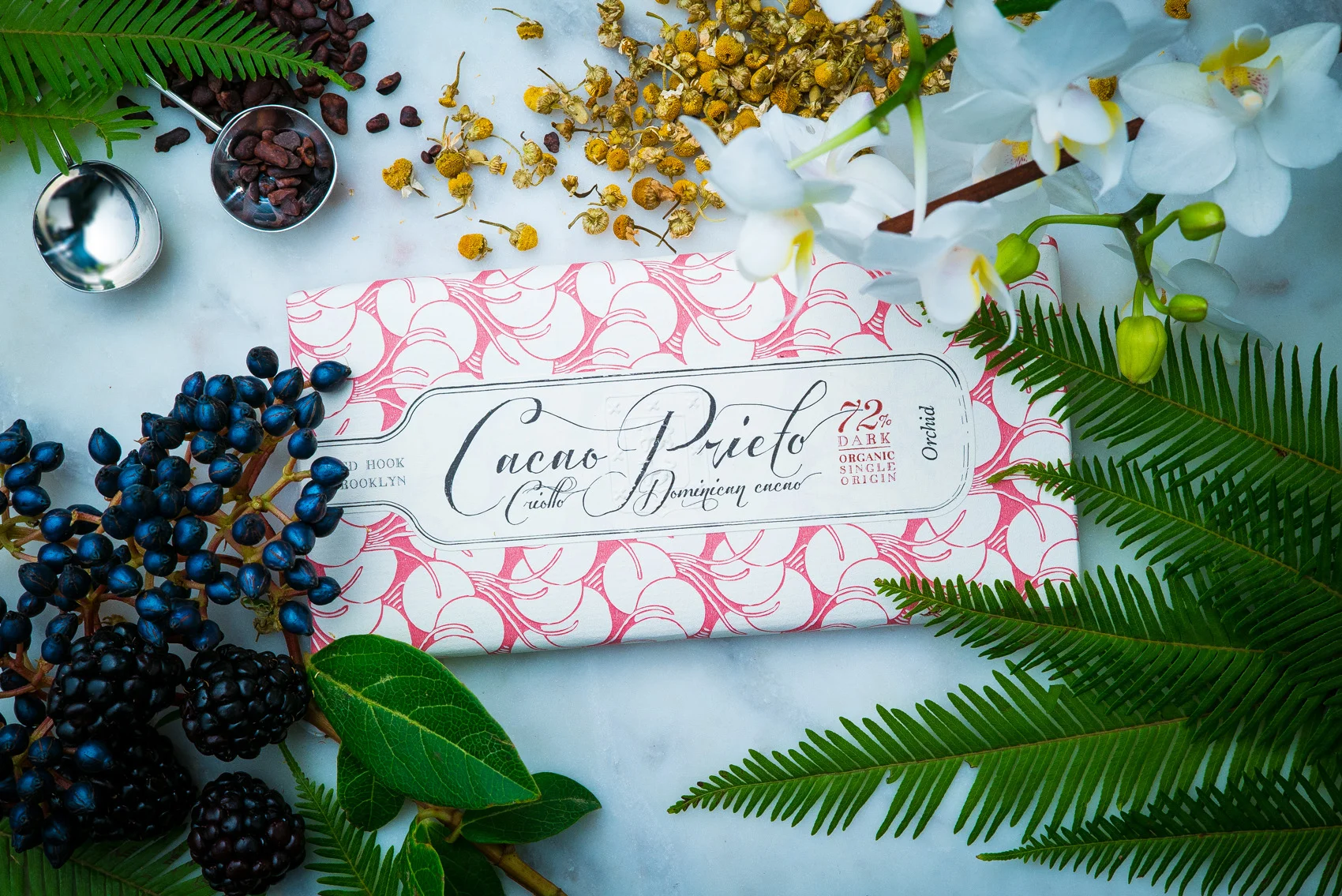 Cacao_Prieto-00056 copy.JPG