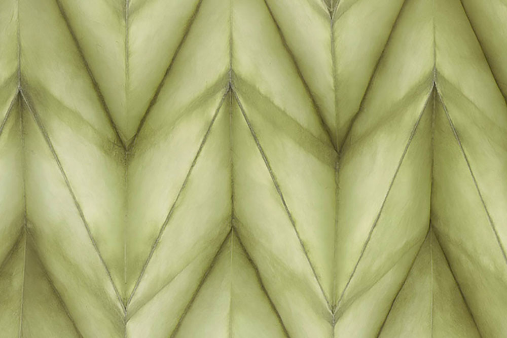 Folded Paper: Olive