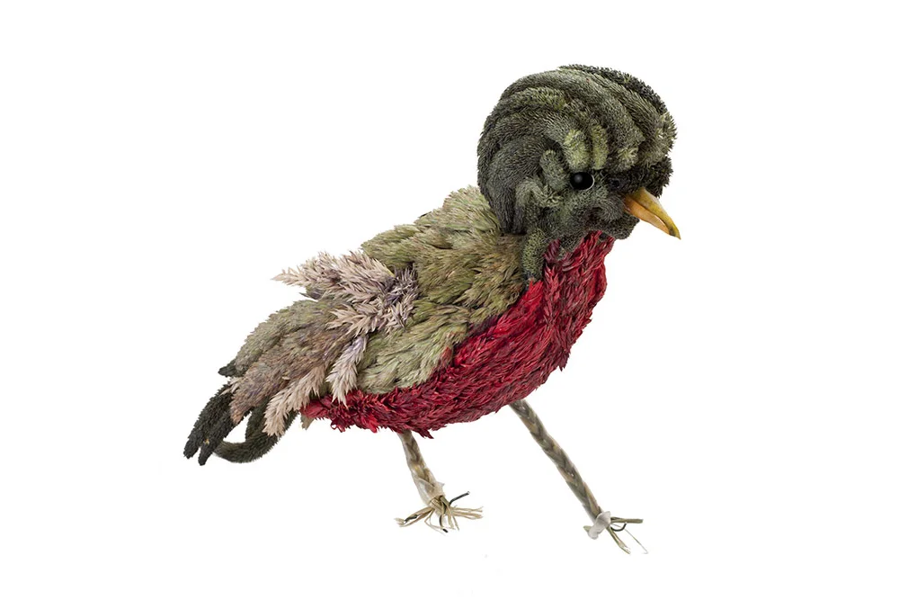 Robin